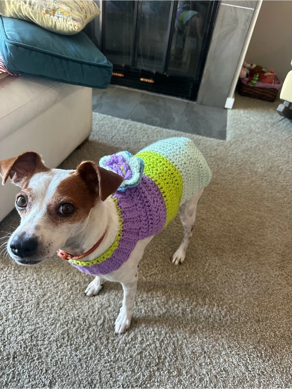 Handmade Pastel Crochet Dog Sweater - Purple, Lime & Mint